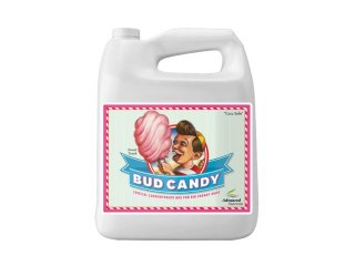 Bud Candy 5 л