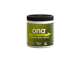 Нейтрализатор запаха Ona Block 170g Fresh Linen