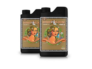 pH Perfect Sensi Coco Bloom 1 л