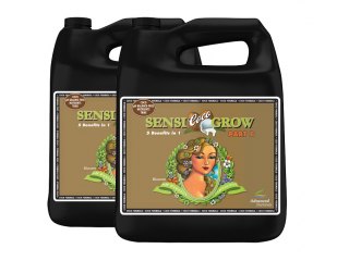 pH Perfect Sensi Coco Grow 5 л