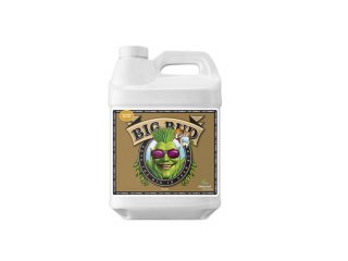Big Bud Coco 0.5 л