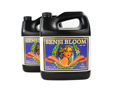 pH Perfect Sensi Bloom 5 л
