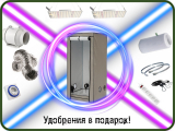 Готовый гроубокс Quantum LED Lite 80